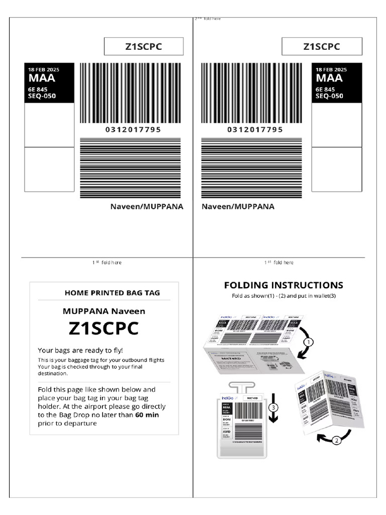 Baggage Tag | PDF