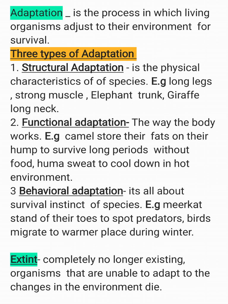 Adaptation Ns Grade 8 250301 224024 Pdf