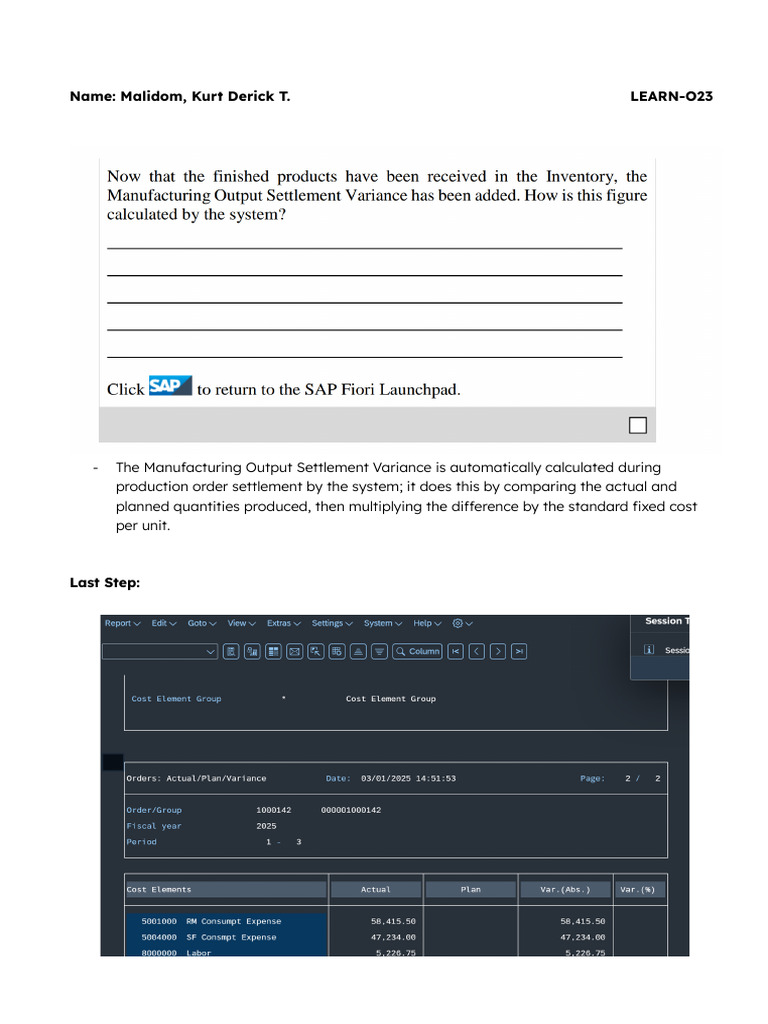 Sap 3 - Case Study | PDF