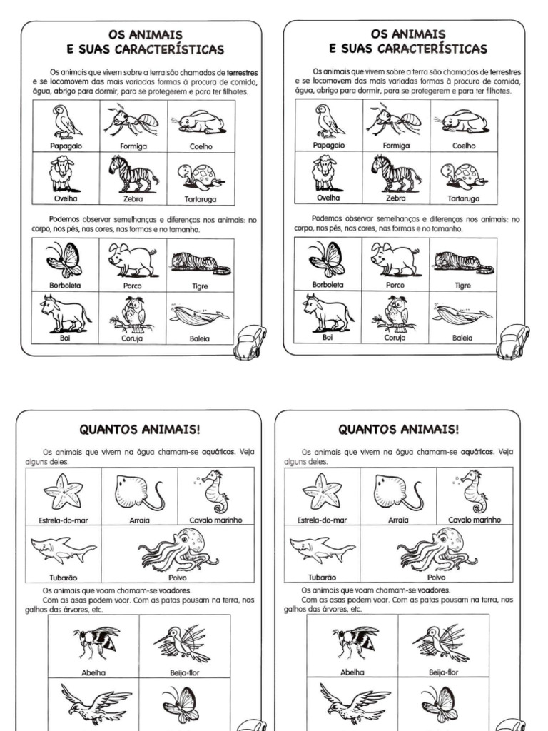 Características Dos Animais | PDF