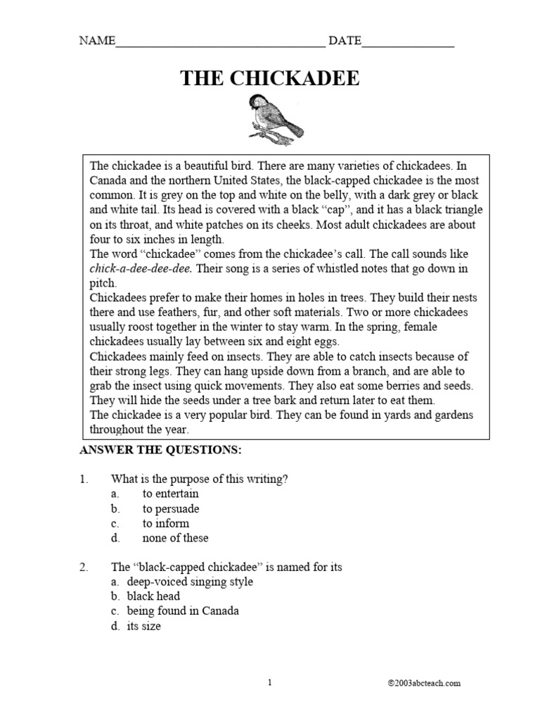 Chickadee Facts and Quiz Guide | PDF | Birds | Zoology