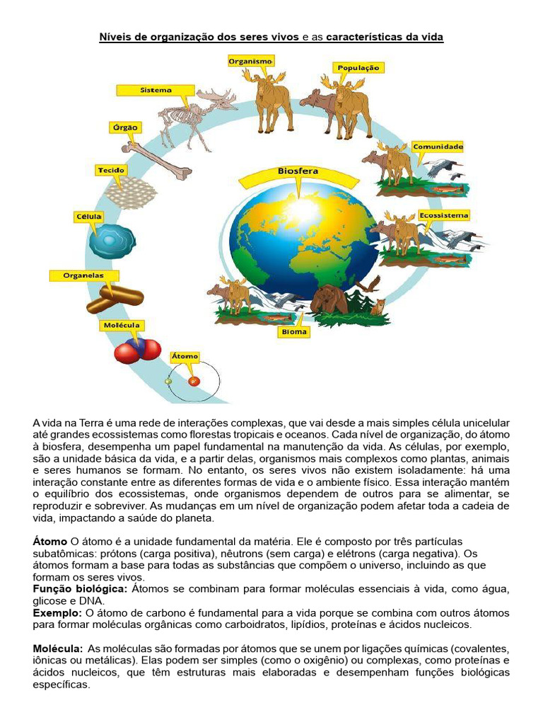 Níveis de Organização da Vida | PDF | Célula (Biologia) | Vida