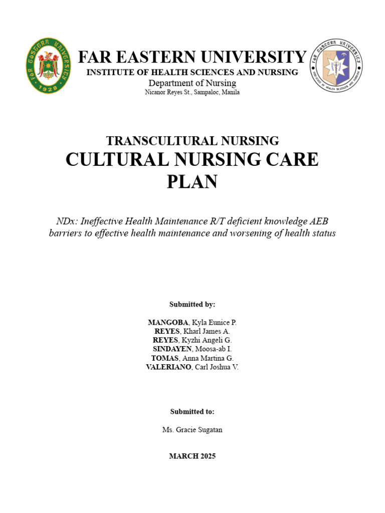 401-3A_NCP | PDF | Palliative Care | Health Care