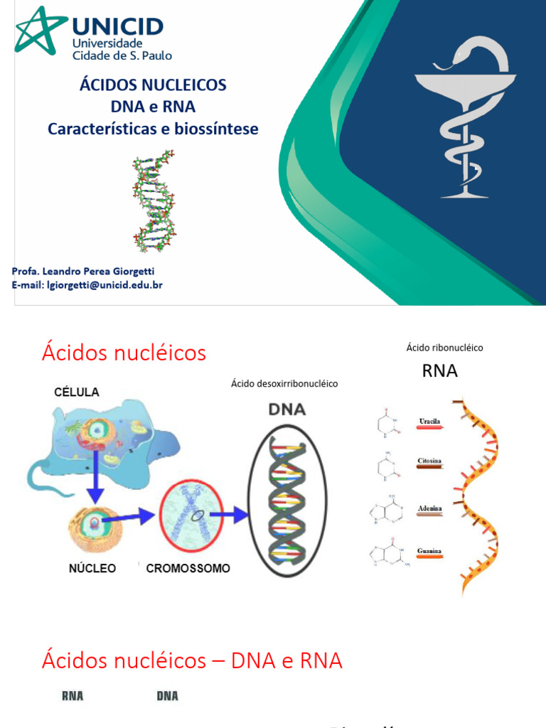 Estrutura e Síntese de DNA e RNA | PDF | RNA | Ácidos nucleicos