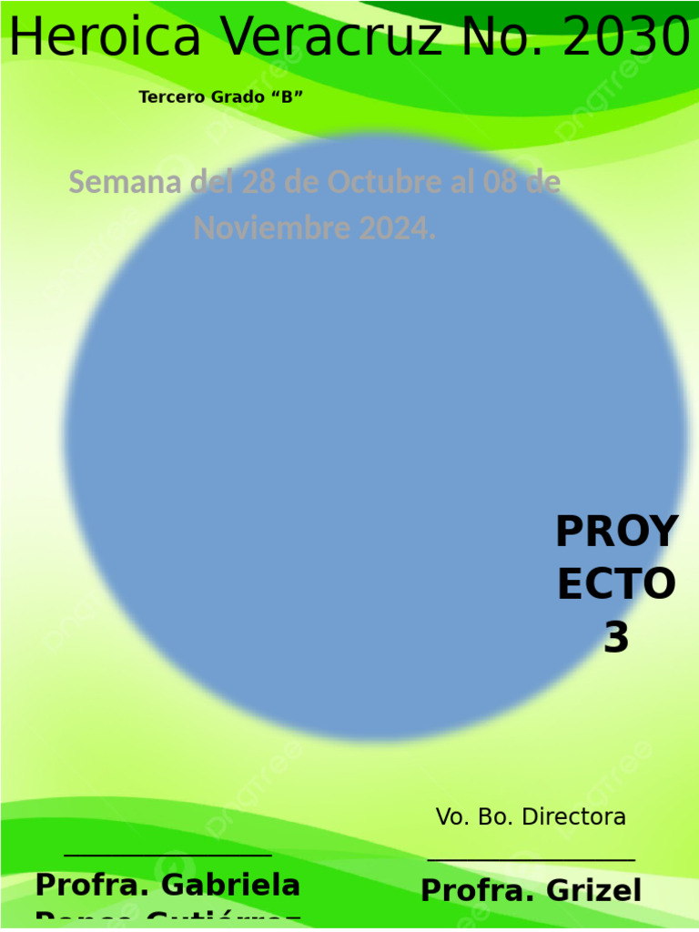 Plan Proyecto 3 3°B Octubre | PDF | Comunidad | Evaluación