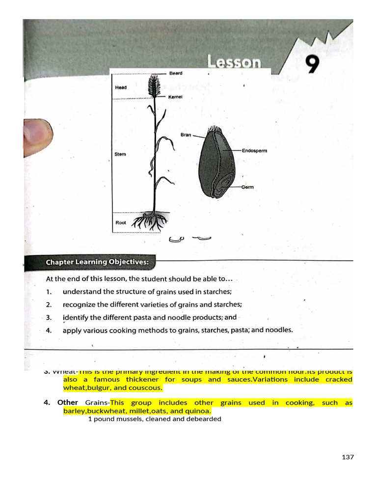STARCHES | PDF | Cereals | Whole Grain