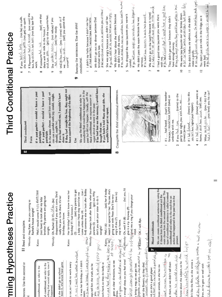 Third Conditional Hypothesis Exercises | PDF
