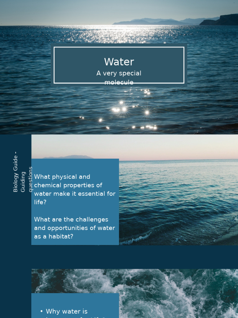 Essential Properties of Water for Life | PDF | Water | Chemical Bond