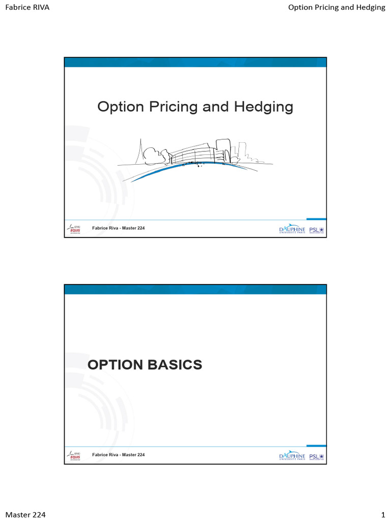Option Basics | PDF | Option (Finance) | Put Option