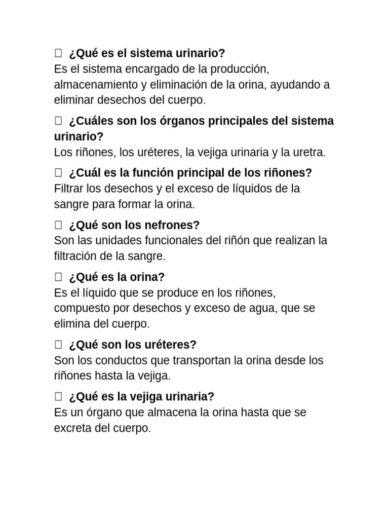 Qu Es El Sistema Urinario | PDF