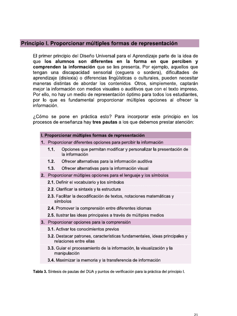 Principios y Pautas Dua | PDF