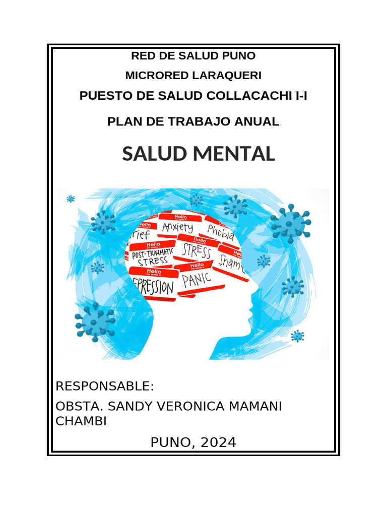 Plan Anual de Salud Mental Collacachi | PDF | Salud mental | Trastorno ...
