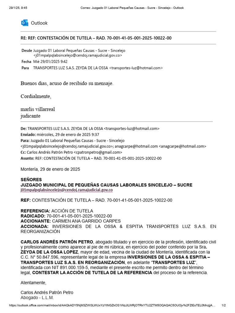 Contestación de Tutela - Transportes Luz S.A.S. | PDF | Colombia ...