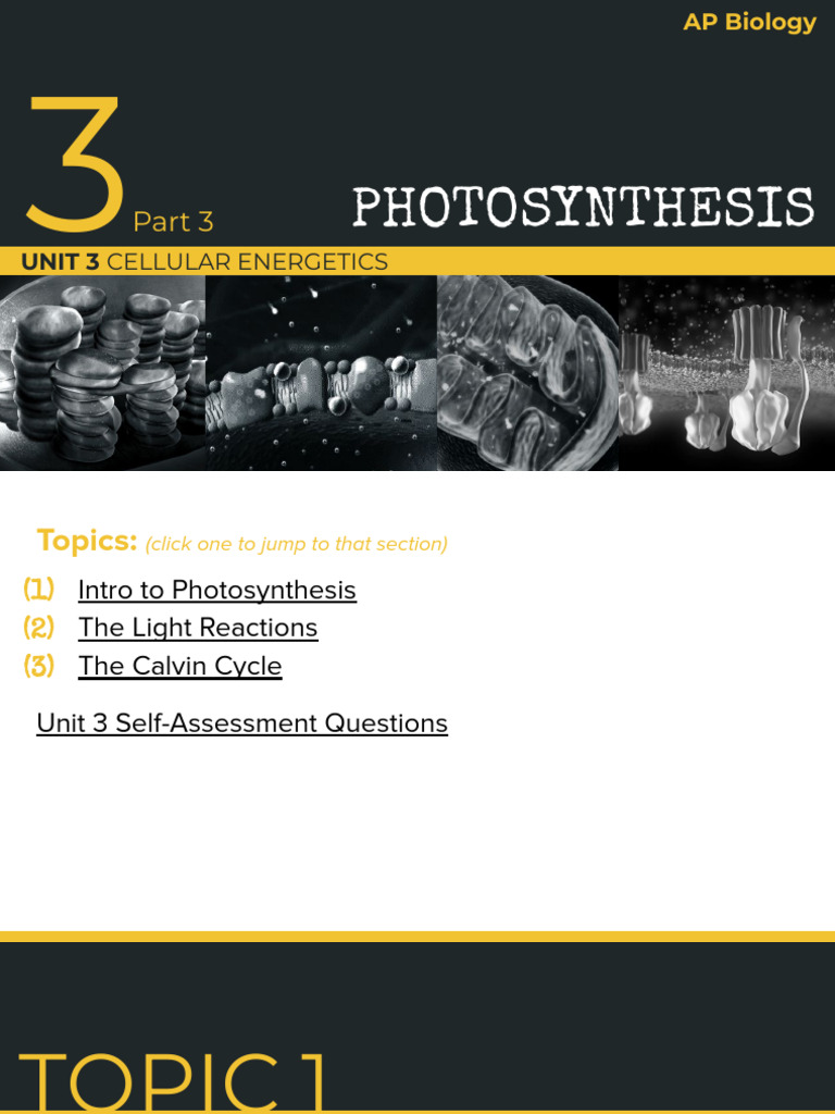 AP Unit 3 Part 3 Photosynthesis | PDF | Photosynthesis | Chloroplast