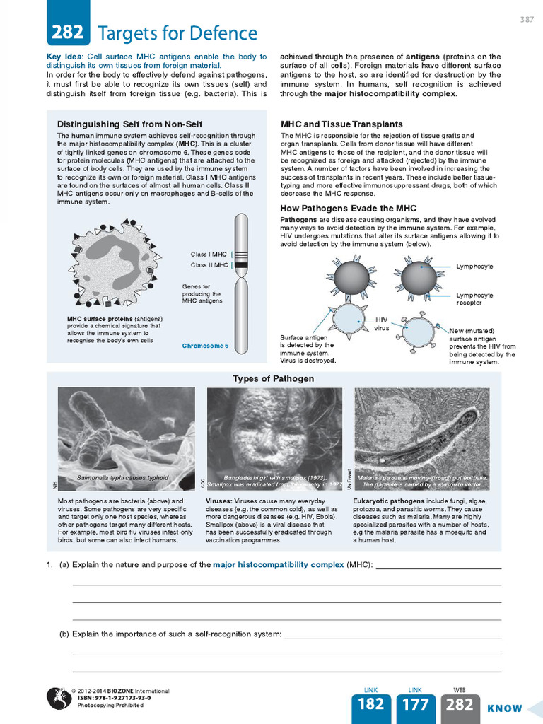 282 Targets for defence | PDF | Major Histocompatibility Complex ...