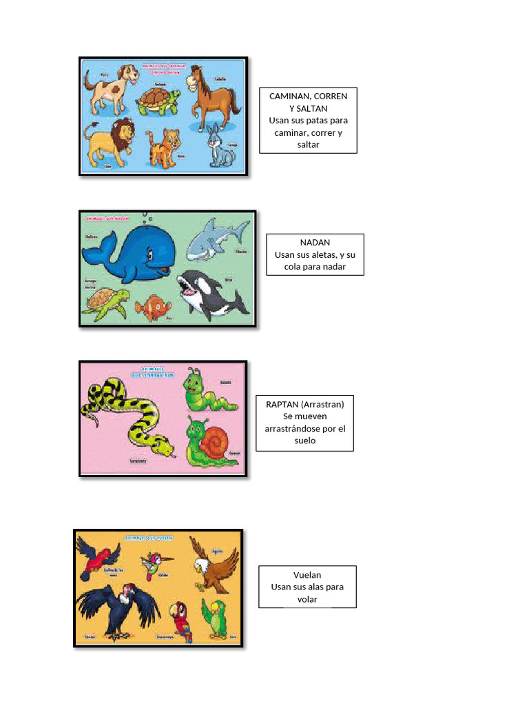 Modos de Movimiento de Animales | PDF