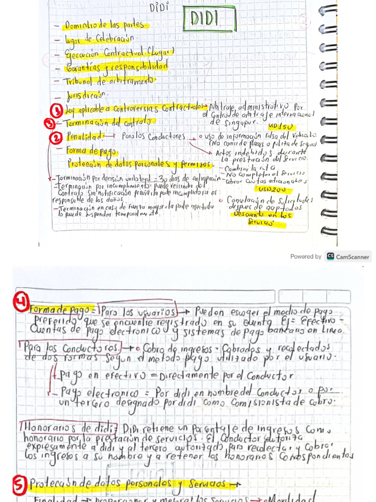 Didi | PDF