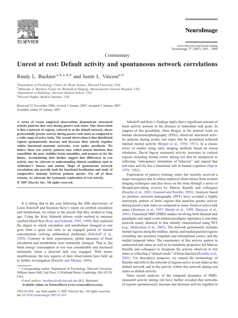 Default Activity and Spontaneous Network Correlations | PDF ...