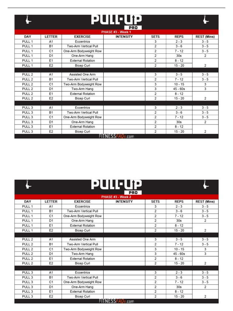 Pull-Up Workout Program Overview | PDF | Joints | Musculoskeletal System