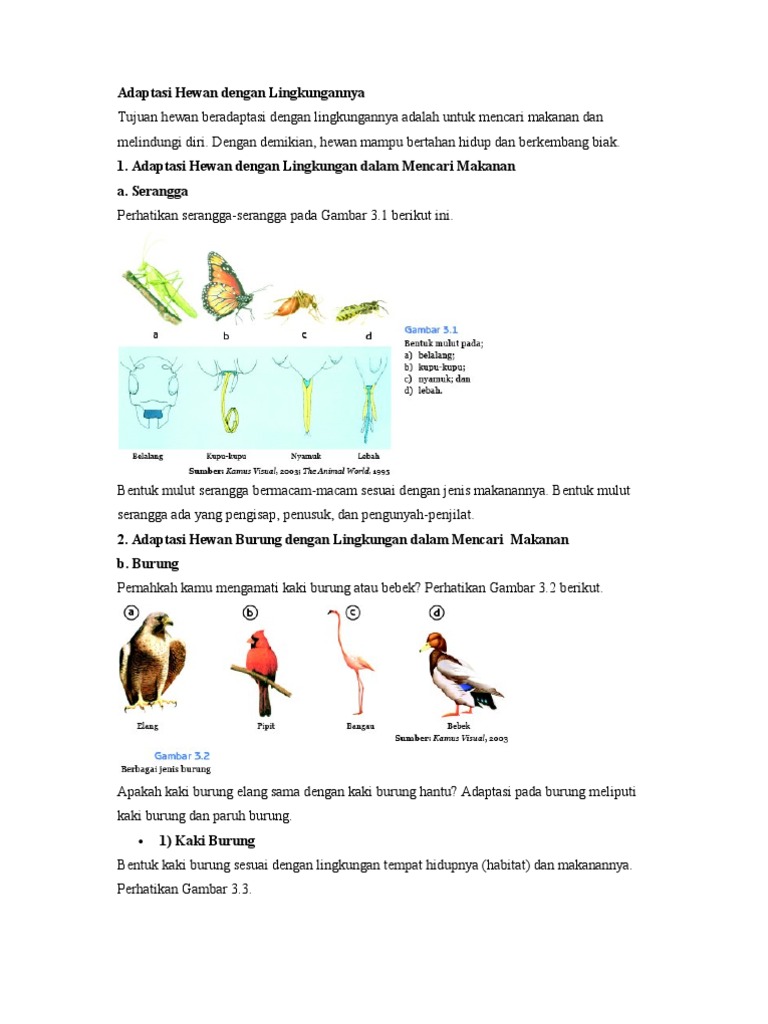 6600 Koleksi Gambar Hewan Dan Lingkungannya Gratis Terbaik