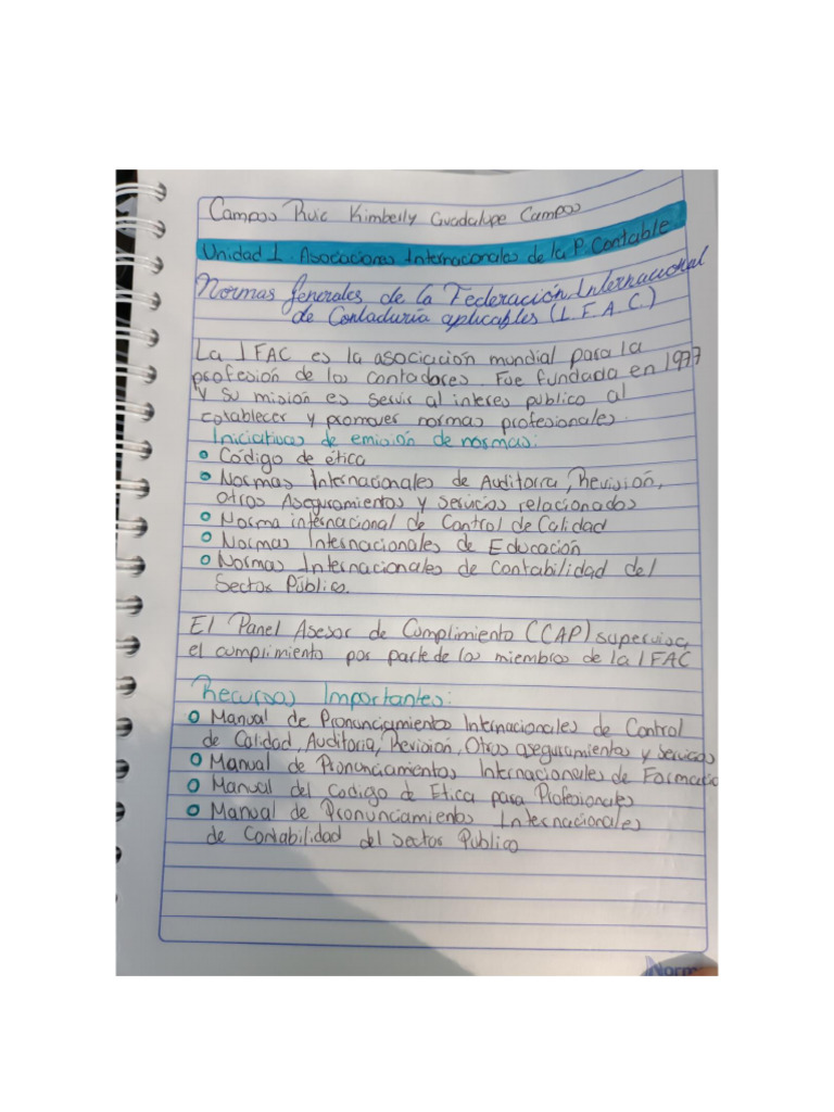 Conceptos Básicos Sobre La Contabilidad Pdf