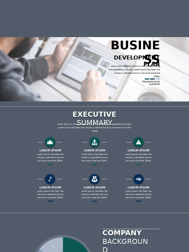 Business Development Plan Overview | PDF | Printing | Publishing