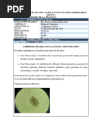 Protocolo de McMaster en Parasitología | PDF | Heces | Huevo