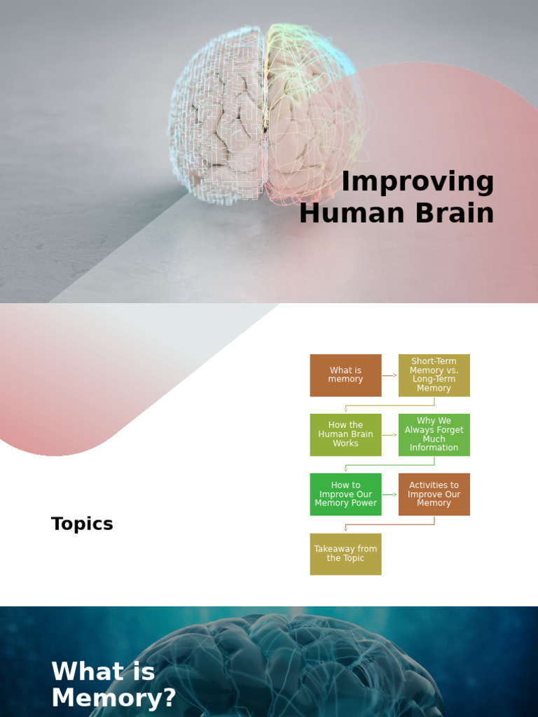 PPT - Brain | PDF | Memory | Long Term Memory