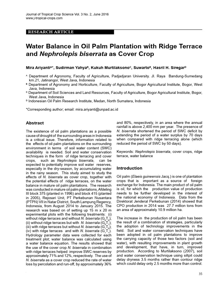 Water Balance in Oil Palm Plantations | PDF | Soil | Surface Runoff