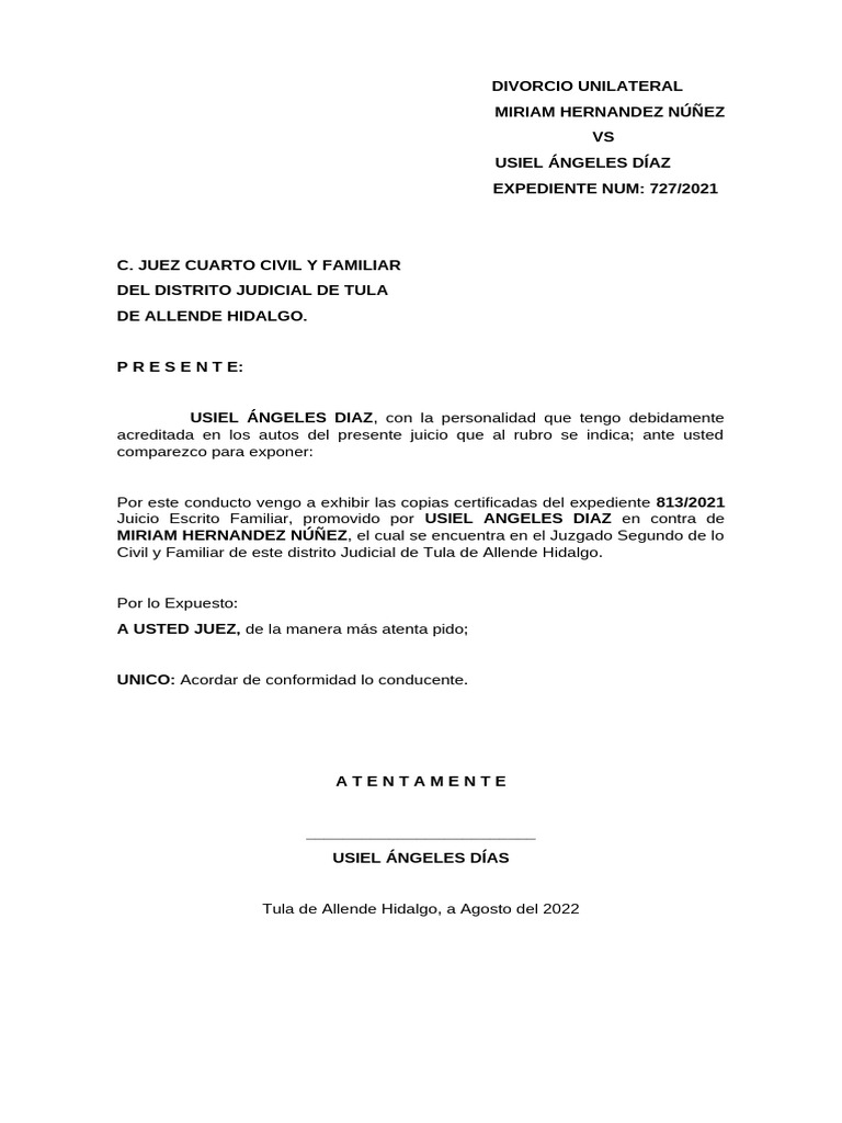 Divorcio Unilateral Pdf