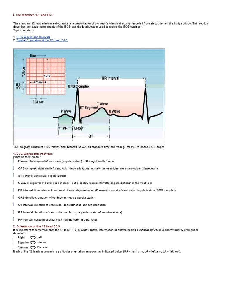 Understanding the 12 Lead ECG | PDF | Electrocardiography | Heart