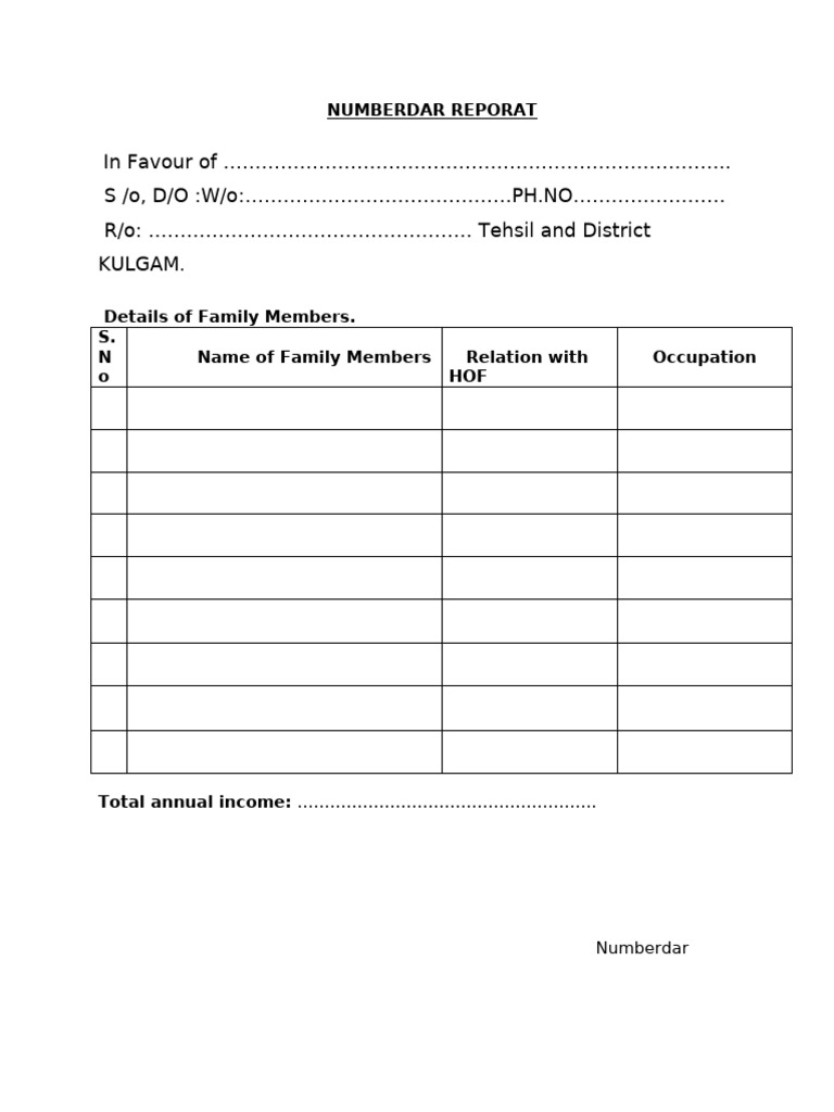 Income Numberdar Reporat | PDF