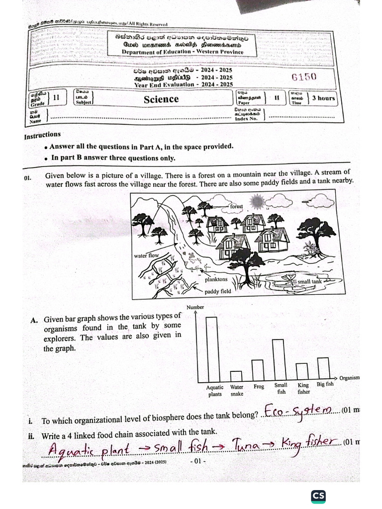 Grade 11 Science Answers EM Part-A WP | PDF