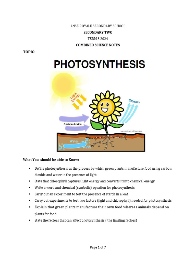 Photosynthesis s2 Notes 2024 | PDF | Photosynthesis | Plants