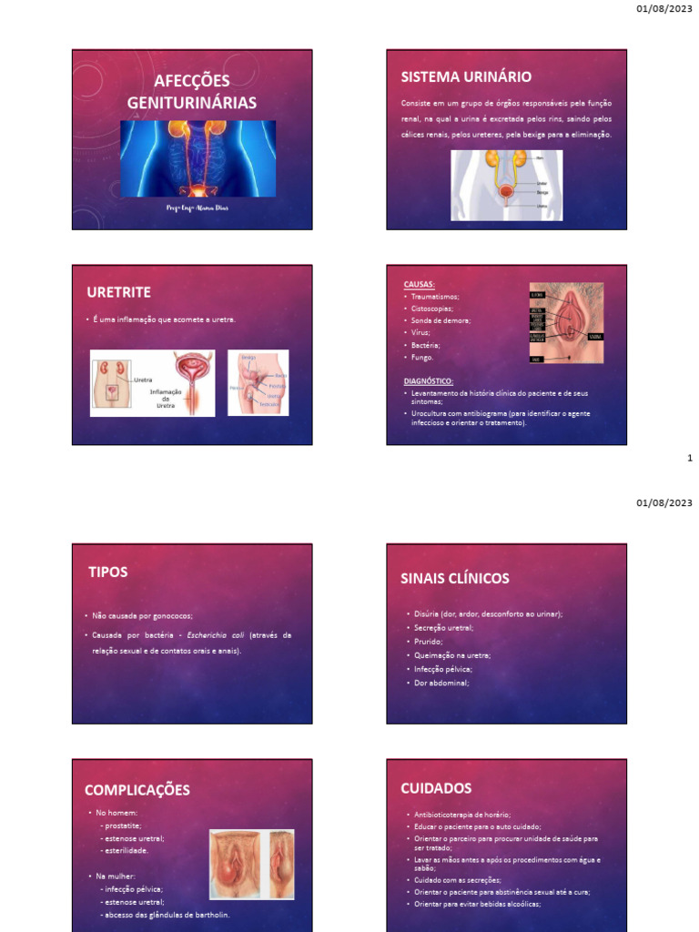 7 AULA - AFECÇÕES GENITURINÁRIAS - Mod | PDF | Infecção do trato ...