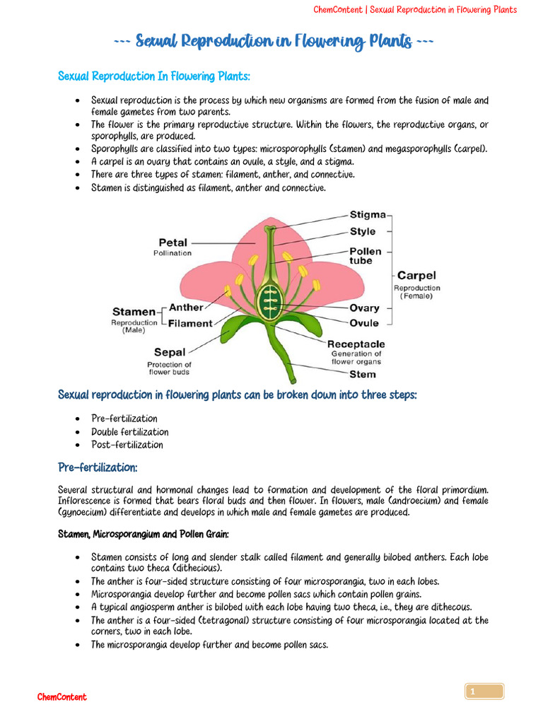Ovary Types and Flower Sexuality | PDF | Seed | Flowers