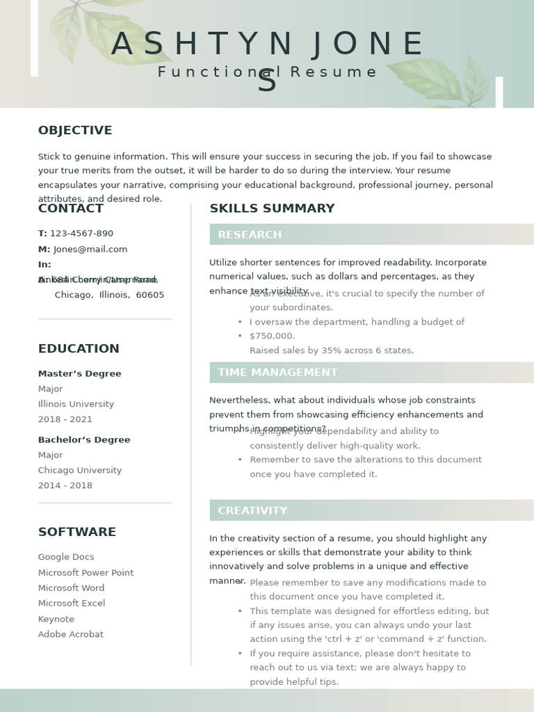 Functional Resume 299000 | PDF | Creativity