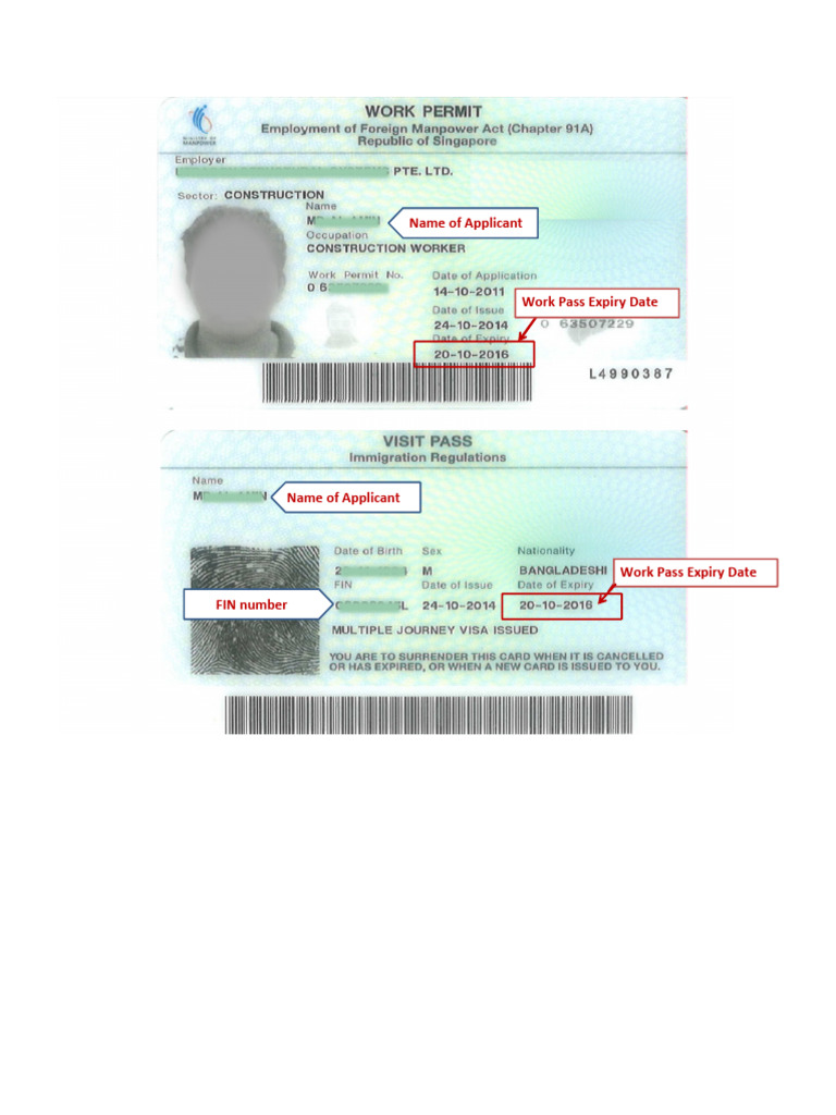 Work Pass and NRIC Information Form | PDF