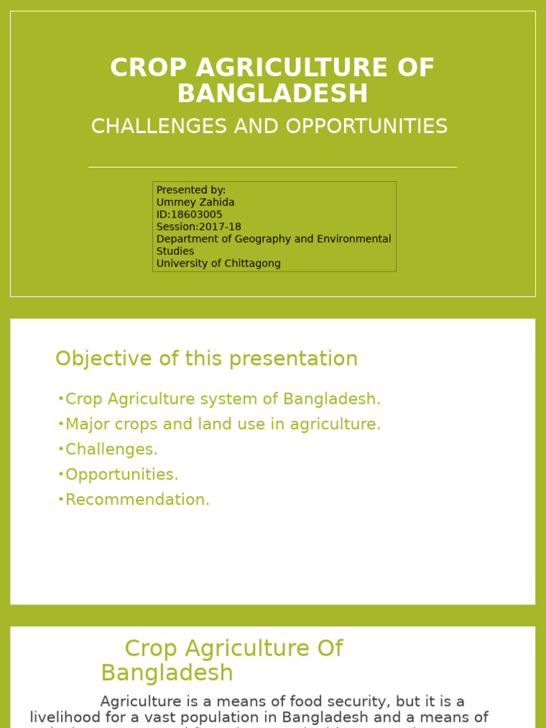 Crop Agriculture of Bangladesh | PDF | Agriculture | Cash Crop