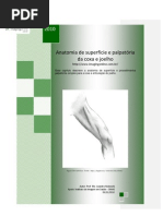 Anatomia de superfície e palpatória da coxa e joelho - Prof. Me. Leandro Nobeschi