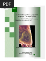 Anatomia de superfície e palpatória do quadril e da região glútea - Prof. Me. Leandro Nobeschi