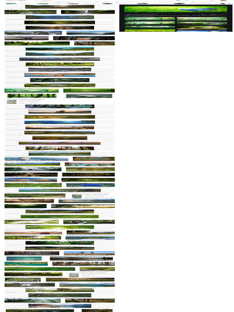 Nature Resources and Insights Guide | PDF | Natural Environment