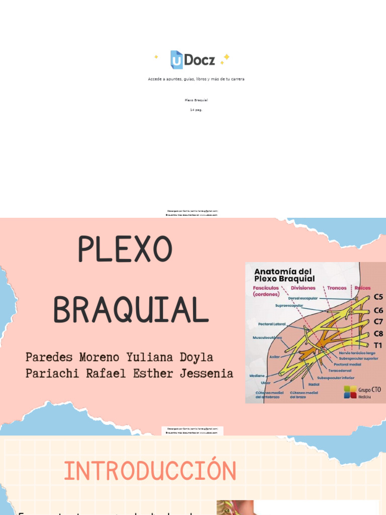 Guía Completa del Plexo Braquial | PDF | Extremidades (anatomía ...