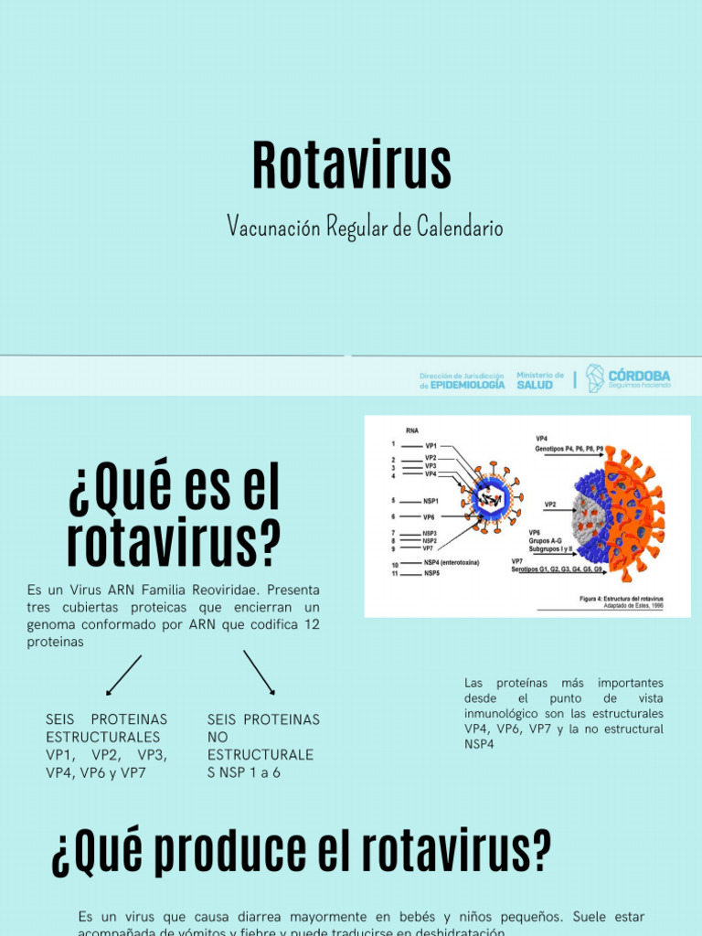 3.15 Rotavirus | PDF