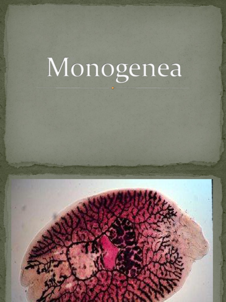 Overview of Monogenea Flatworms | PDF