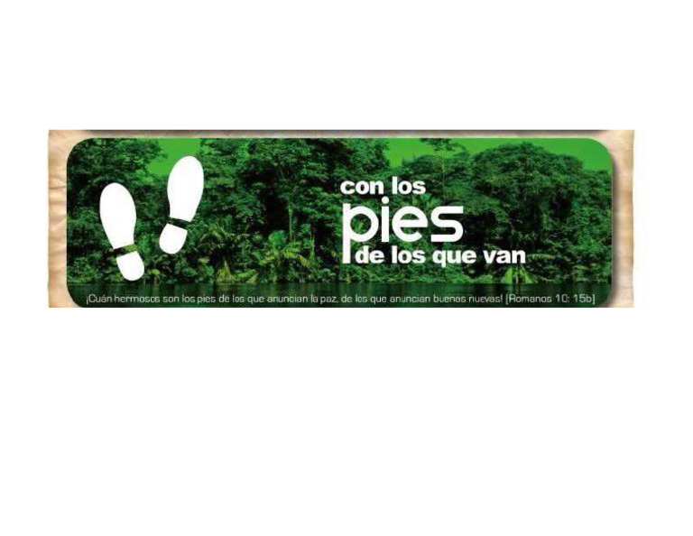 Pies | PDF