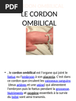 Procidence du cordon : définitions et gestion | PDF | Césarienne ...