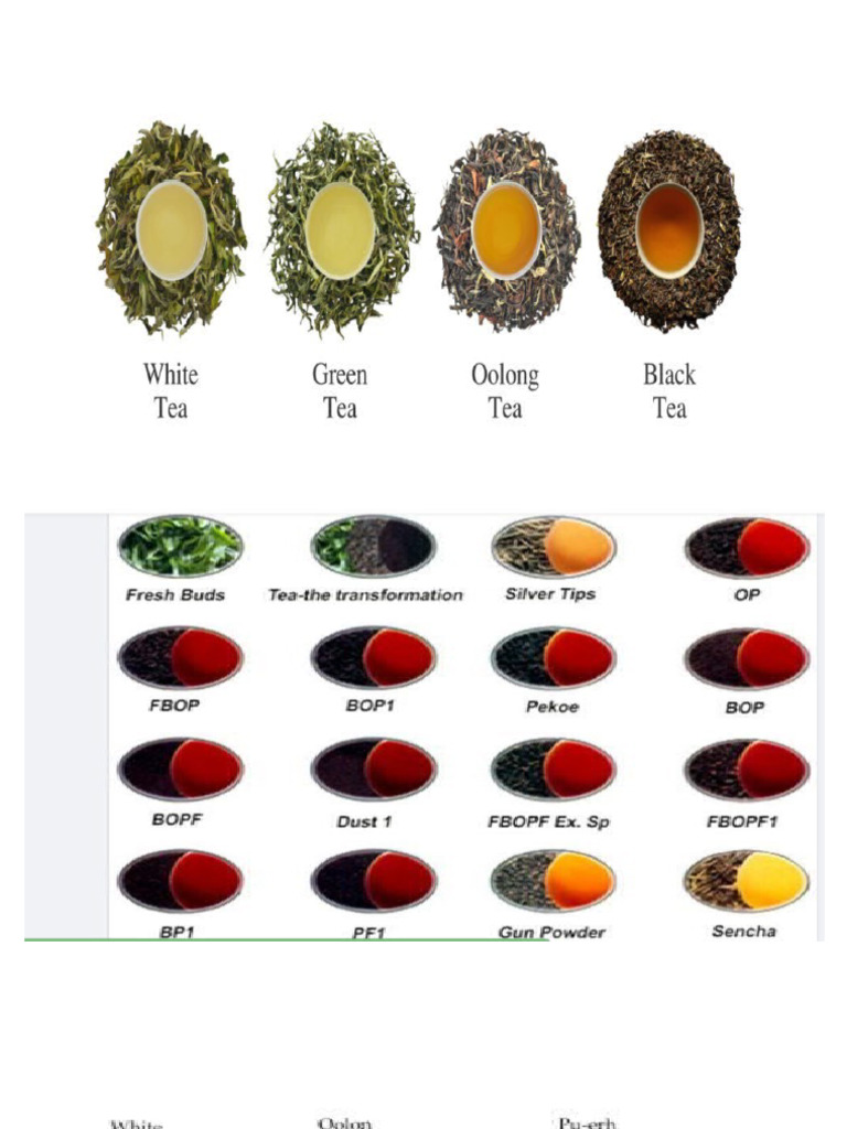 Different Types of Made Tea | PDF