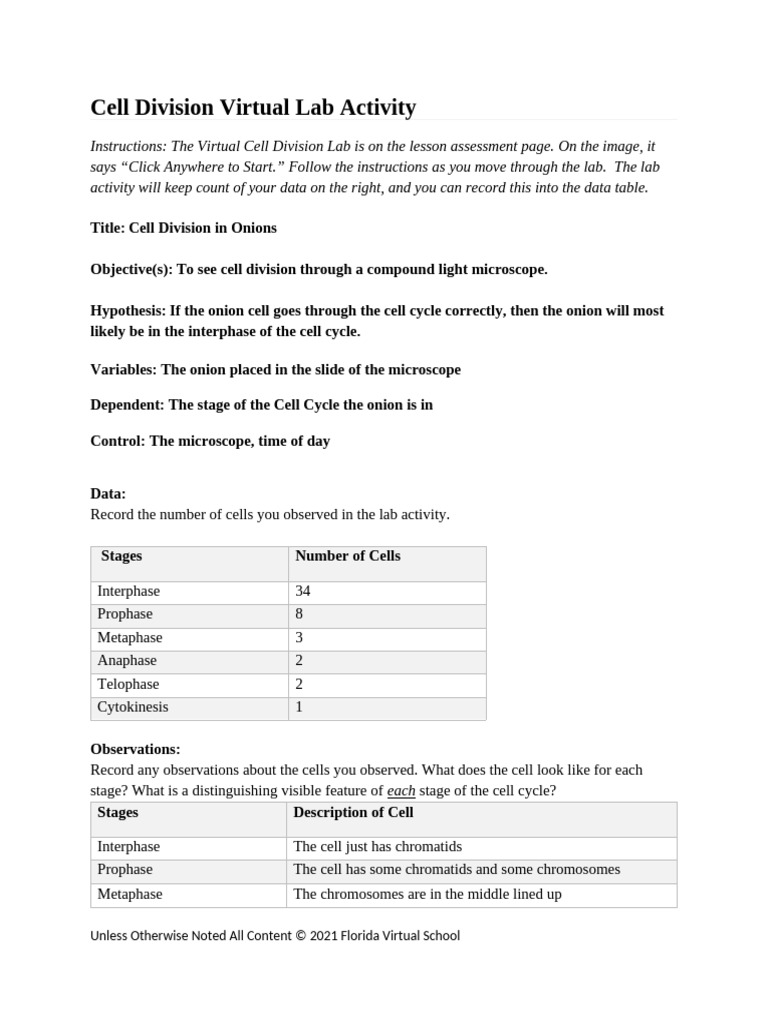 03 01 Virtual Cell Division Lab Report | PDF | Mitosis | Cell Cycle