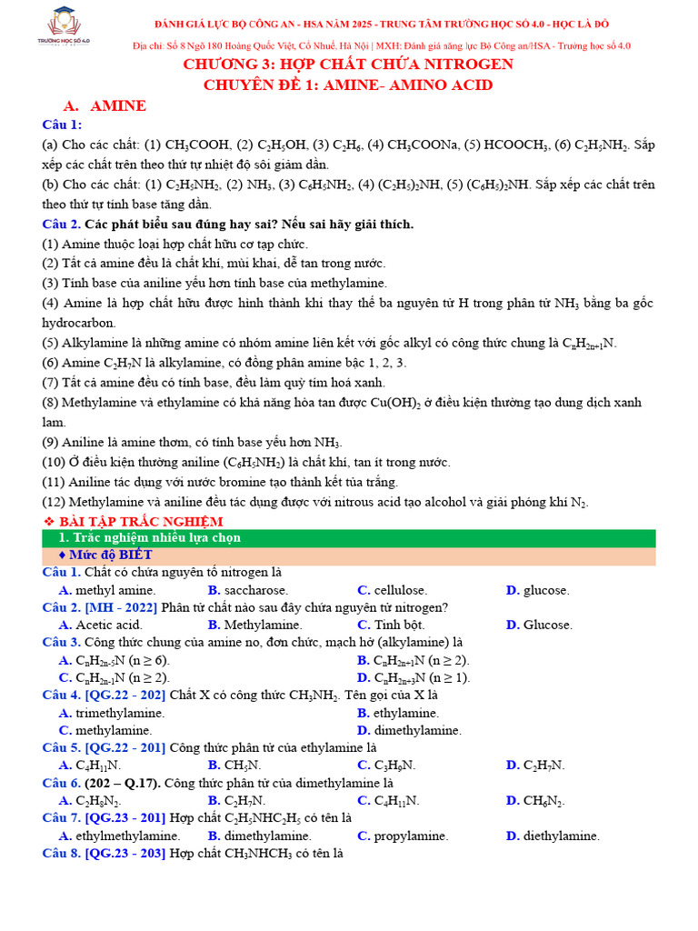 Amine - Amino Acid | PDF